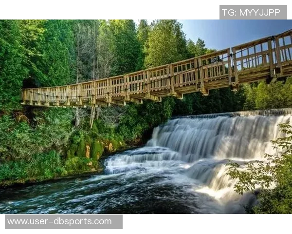 林书豪与家人畅游阿里山共享美丽风景感受大自然的魅力