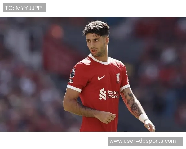 本赛季欧冠控球权争夺战索博斯洛伊与维蒂尼亚表现抢眼